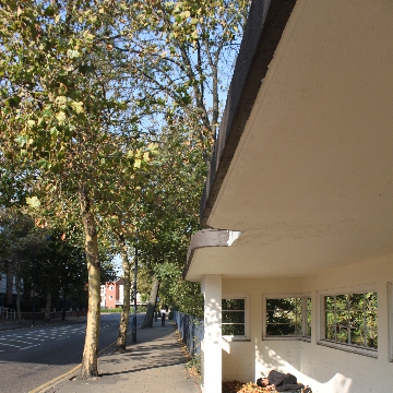 Indiscernibles Gallery Image