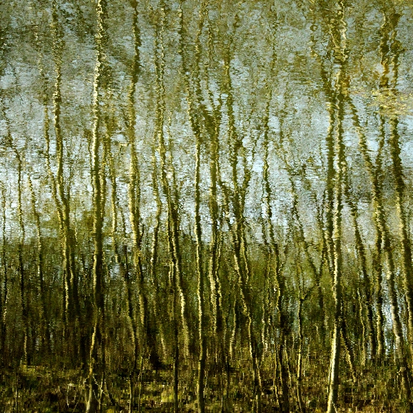 A Picture Paints, photography project Photograph in the style of an impressionist painting
